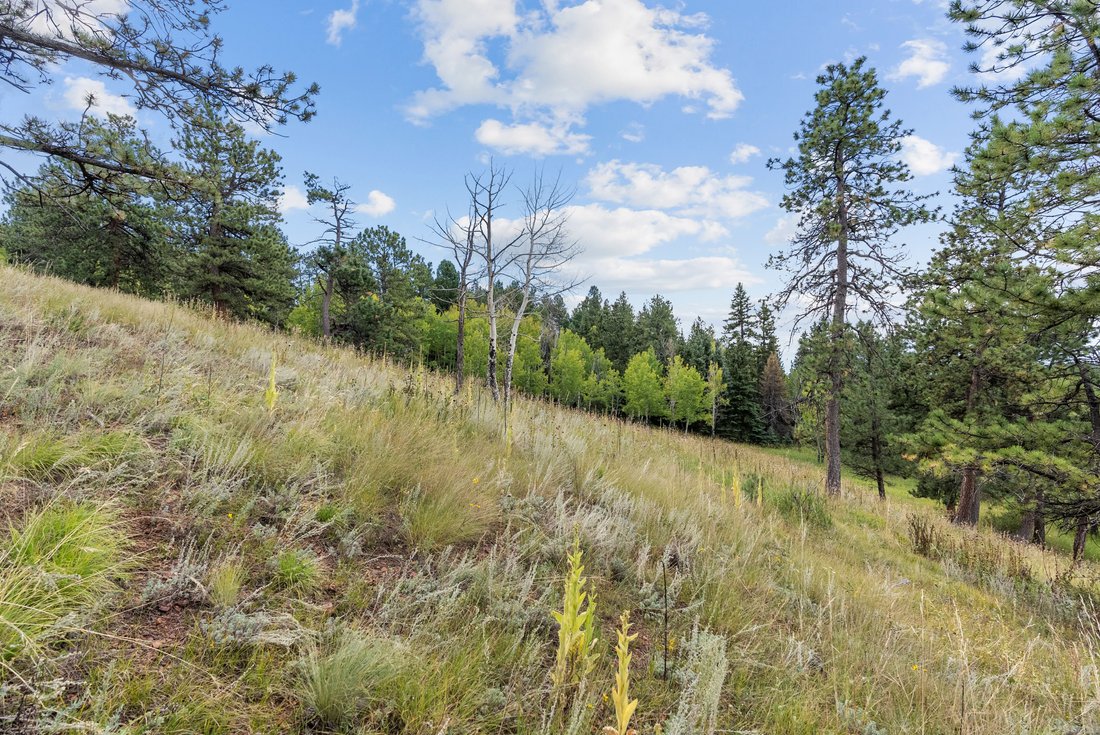 The Perfect Spot For Your Future Dream Home In Conifer, Colorado