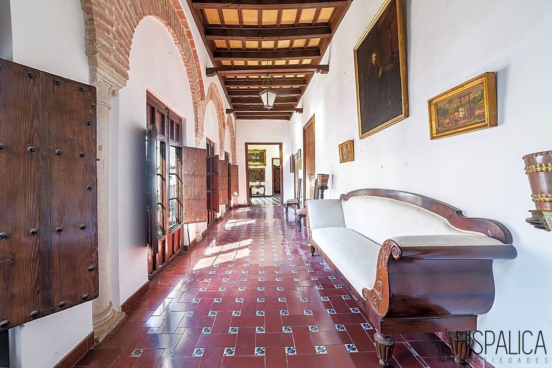 Villa in Ecija, Andalusia, Spain 3 - 13391416