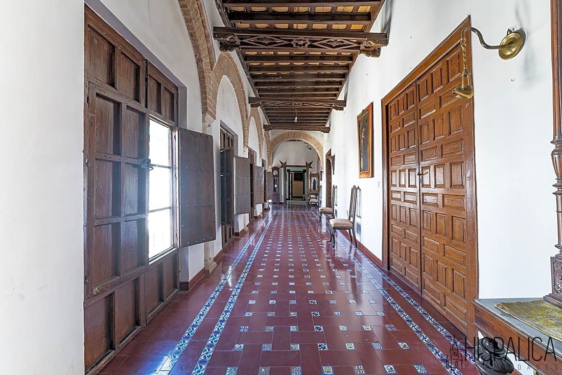 Villa in Ecija, Andalusia, Spain 1 - 13391416