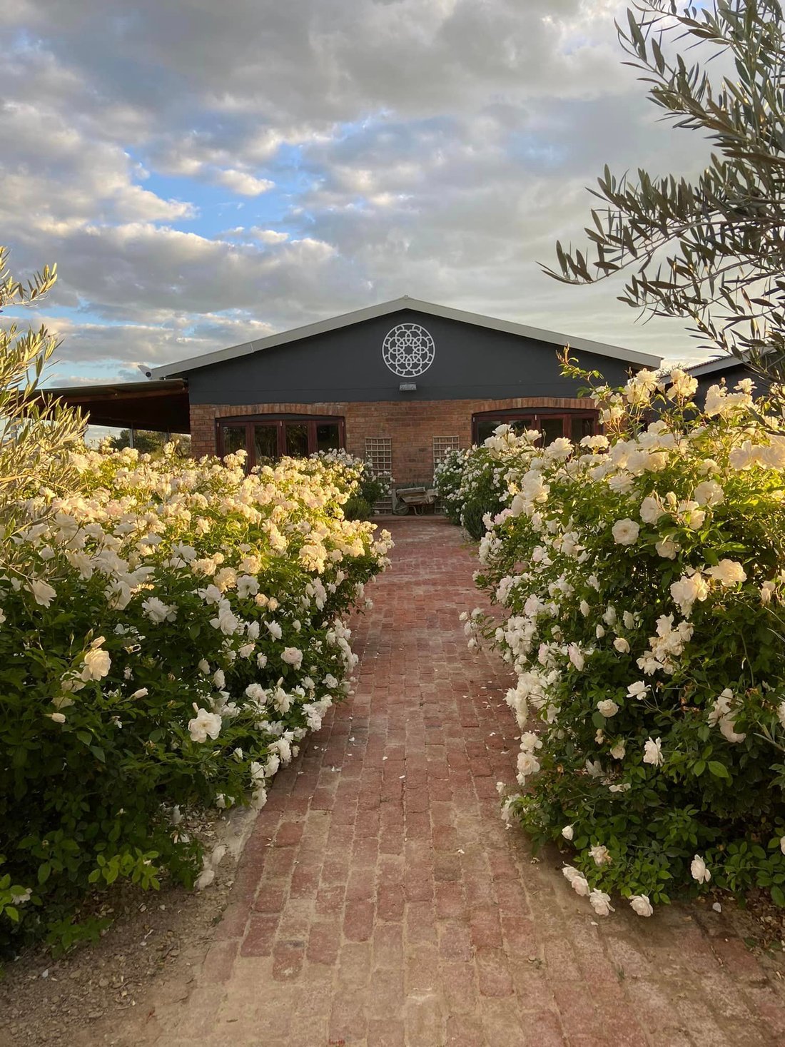 Estate in Perahomp, Khomas Region, Namibia 2 - 13397452
