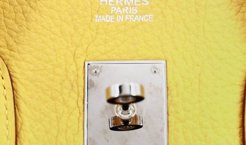 HERMÈS Birkin 35 Clemence Leather and Canvas Handbag - Soleil with Palladium Hardware