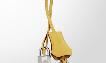 HERMÈS Birkin 35 Clemence Leather and Canvas Handbag - Soleil with Palladium Hardware