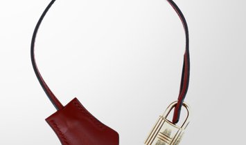 HERMÈS Birkin 35 Box Calfskin and Canvas Handbag - Rouge H with Gold Hardware