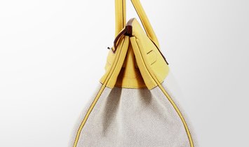 HERMÈS Birkin 35 Clemence Leather and Canvas Handbag - Soleil with Palladium Hardware