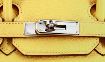 HERMÈS Birkin 35 Clemence Leather and Canvas Handbag - Soleil with Palladium Hardware