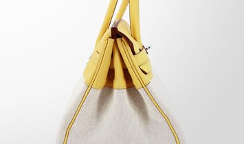 HERMÈS Birkin 35 Clemence Leather and Canvas Handbag - Soleil with Palladium Hardware