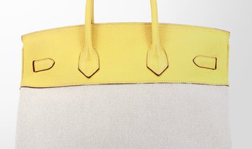 HERMÈS Birkin 35 Clemence Leather and Canvas Handbag - Soleil with Palladium Hardware