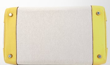 HERMÈS Birkin 35 Clemence Leather and Canvas Handbag - Soleil with Palladium Hardware