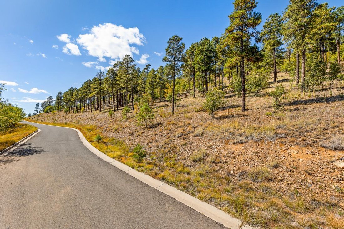Fimbrez Estates In Flagstaff, Arizona, United States For Sale (13402911)