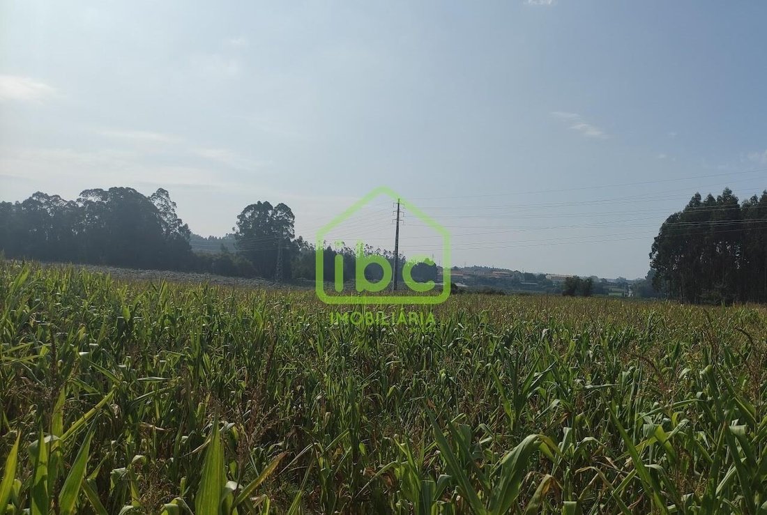 Land in Guilhabreu, Porto District, Portugal 4 - 13266610