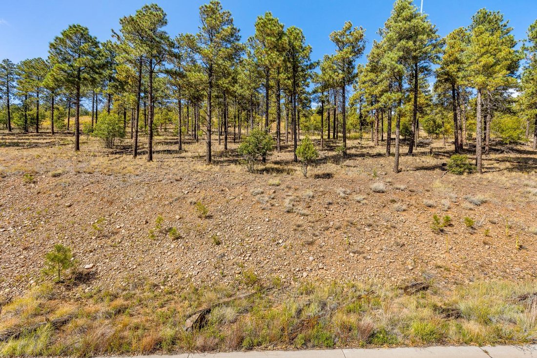 Fimbrez Estates In Flagstaff, Arizona, United States For Sale (13402911)