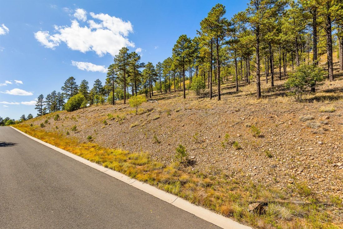 Fimbrez Estates In Flagstaff, Arizona, United States For Sale (13402911)