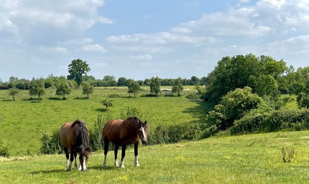 Honfleur House In Honfleur, Normandy, France For Sale (13405075)