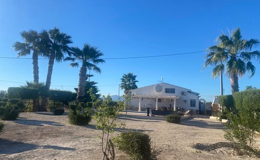 Finca in Dolores, Valencian Community, Spain 1