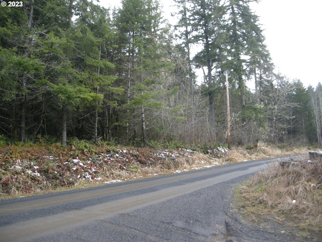Very Private Wooded Lot In Vernonia, Oregon, United States For Sale