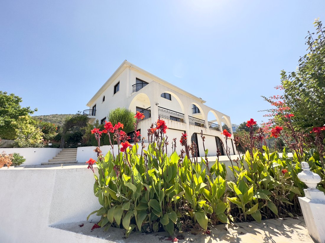 Villa in Tala, Paphos, Cyprus 2 - 13409786