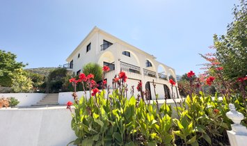 Villa a Tala, Distretto di Pafo, Cipro 1
