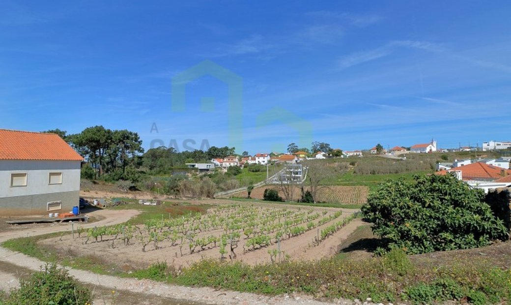 Farm Ericeira 1 Km, The House Of Houses In Ericeira, Lisbon, Portugal