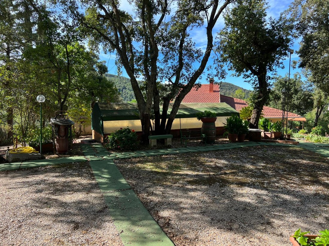 Villa in Castagneto Carducci, Tuscany, Italy 2 - 13414135