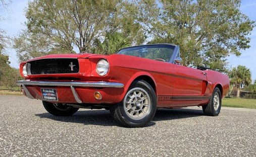1966 Ford Mustang Convertible GT350 Tribute in Pinellas, FL, United States 1