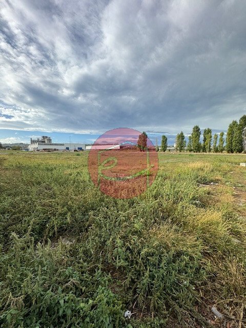 Land in Longiano, Emilia-Romagna, Italy 2 - 13424311