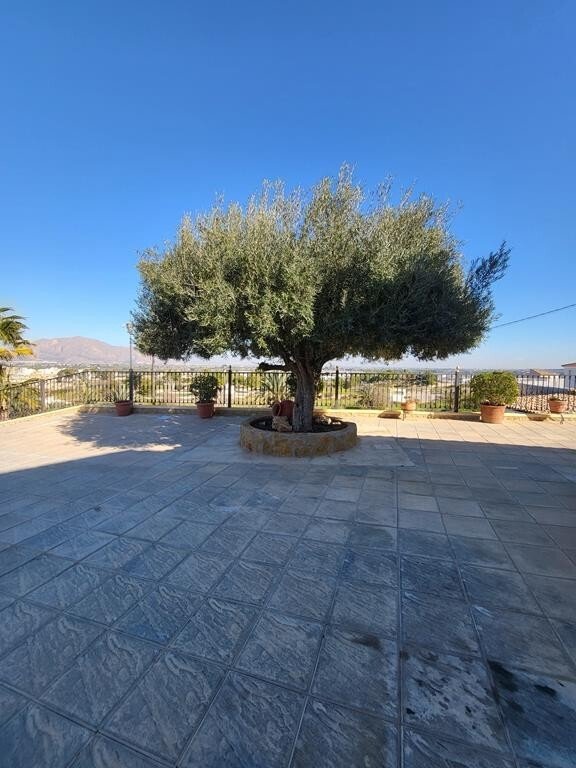 Villa in Bigastro, Valencian Community, Spain 5 - 13420811