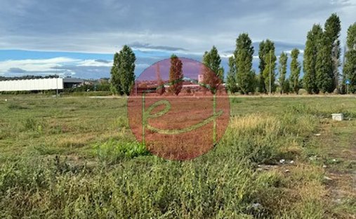 Land in Longiano, Emilia-Romagna, Italy 1