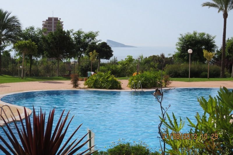 Apartment in Benidorm, Valencian Community, Spain 2 - 13423950