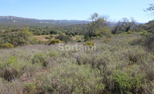 Land in Loule (Sao Sebastiao), Algarve, Portugal 1