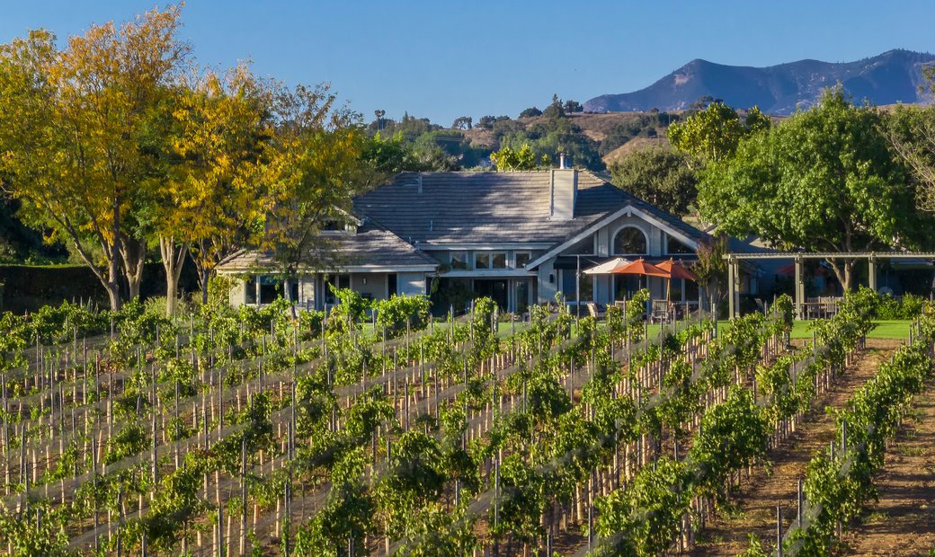 Santa Ynez Valley Vineyard Lifestyle In Santa Ynez, California, United