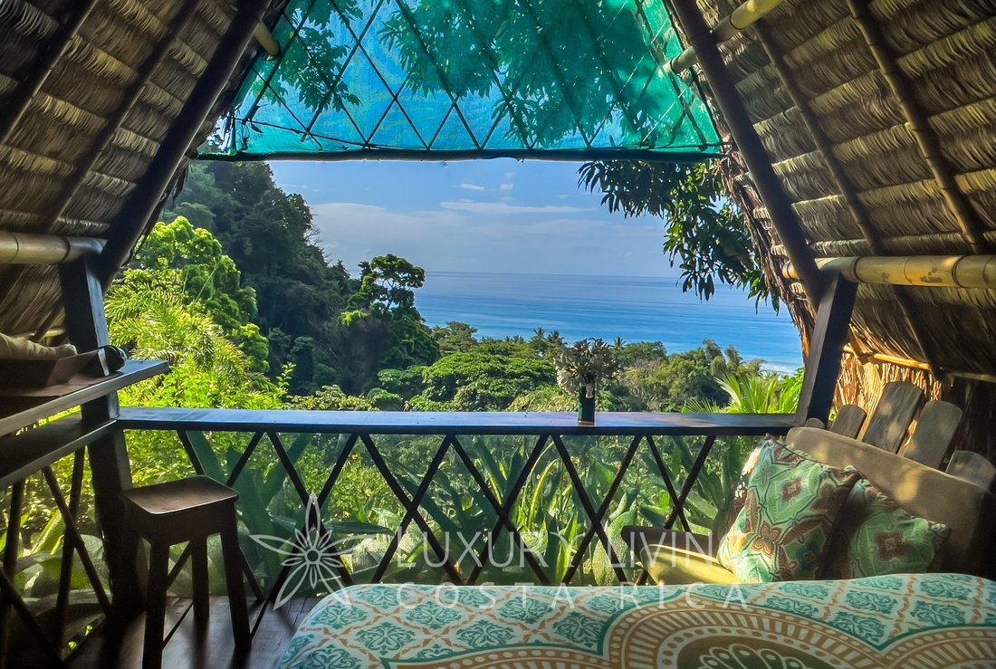 20359 Unspoiled Tropical In Puerto Jiménez, Puntarenas Province, Costa