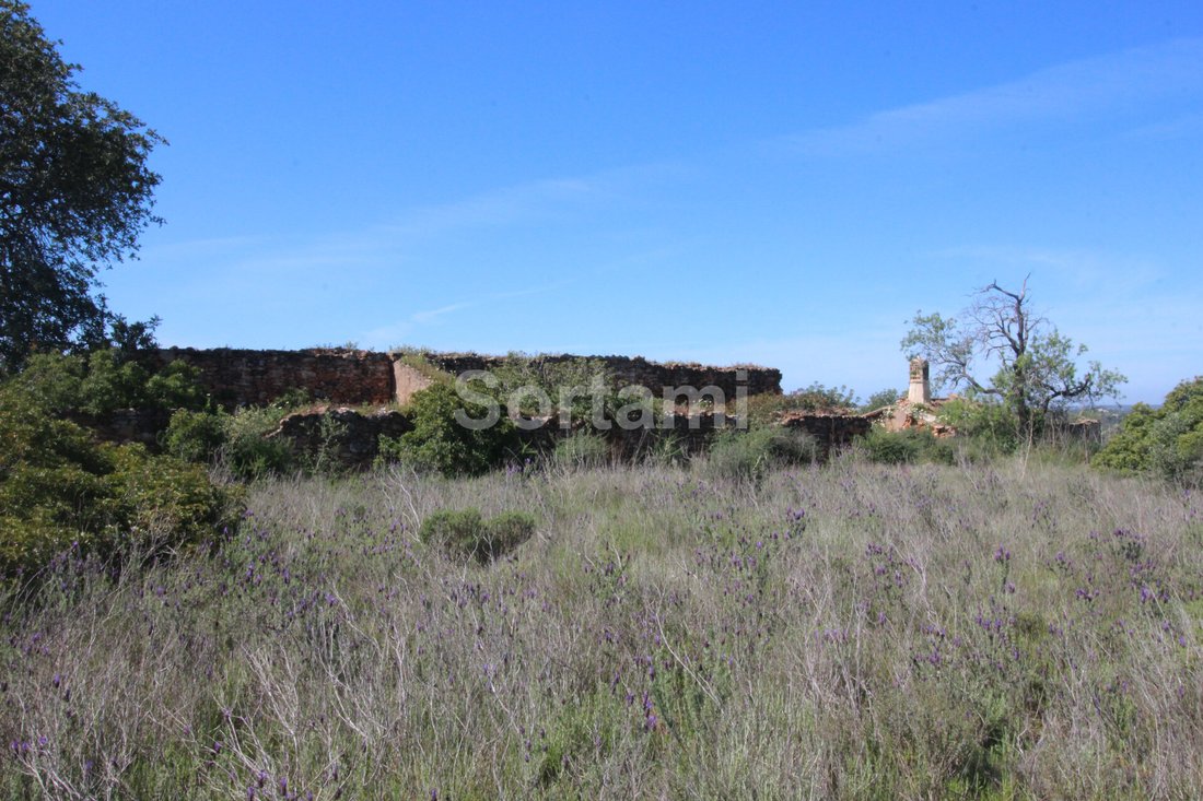 Land in Loule (Sao Sebastiao), Algarve, Portugal 3 - 11344347