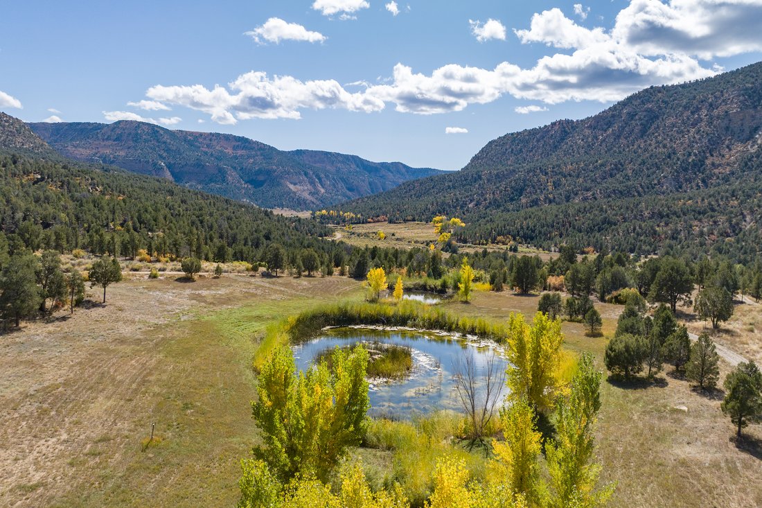 er Creek Ranch In Mancos, Colorado, United States For Sale (13322487)