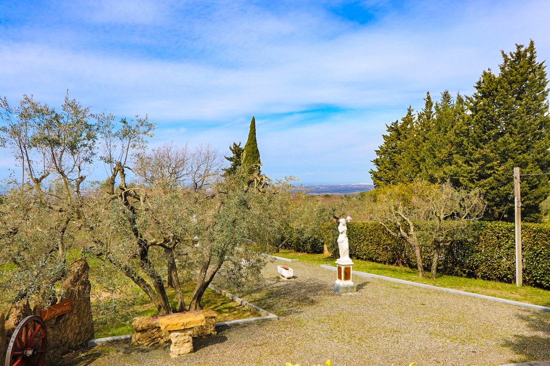 Casa di campagna a Guardistallo, Toscana, Italia 5 - 13429015