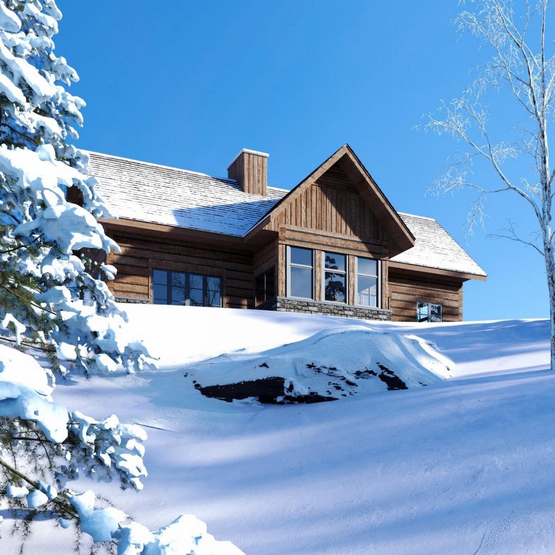 1909 Mount Mc Pherson Drive In Revelstoke, British Columbia, Canada For