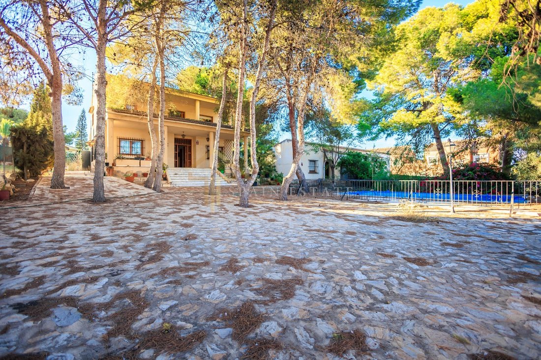 Villa in Torrevieja, Valencian Community, Spain 4 - 13429806