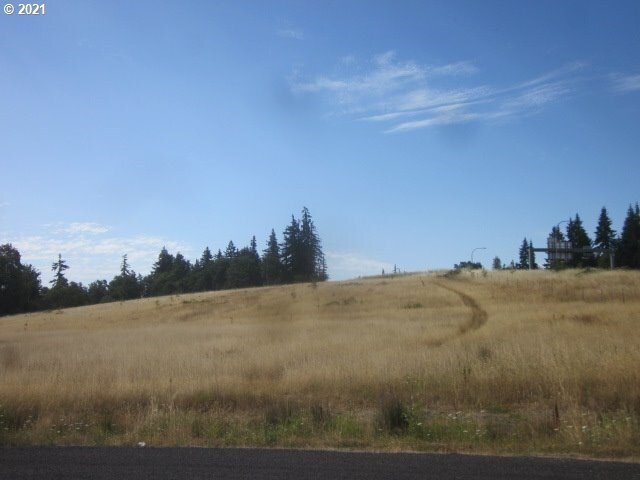 Land in Ridgefield, Washington, United States 1 - 11567771