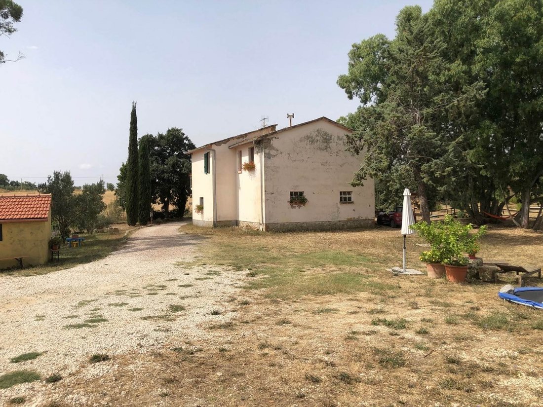 Farm Ranch in Scansano, Tuscany, Italy 5 - 13440763