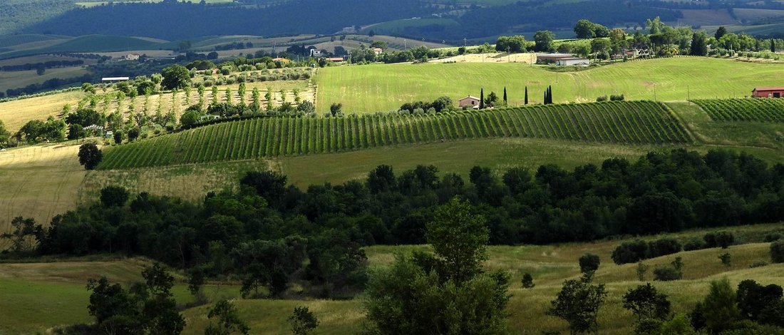 Farm Ranch in Scansano, Tuscany, Italy 1 - 13440763