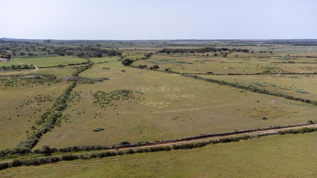 Estate With 884.250m2 Next In Barragem De Nisa, Portalegre District