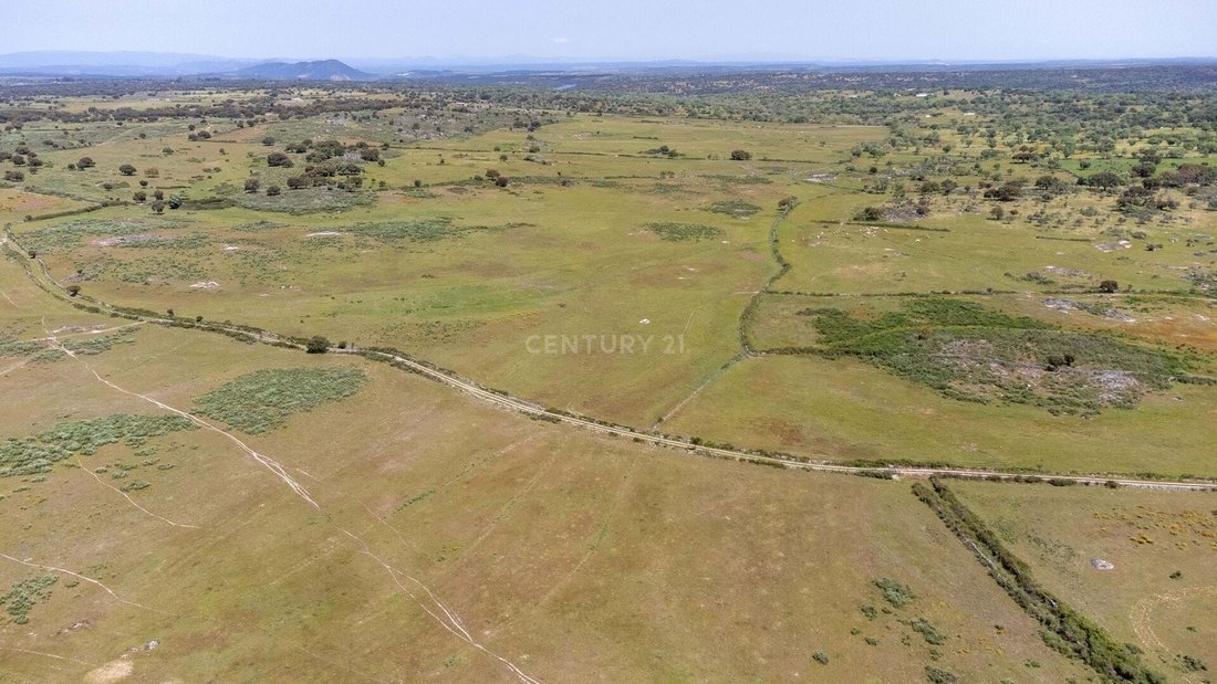 Estate With 884.250m2 Next In Barragem De Nisa, Portalegre District