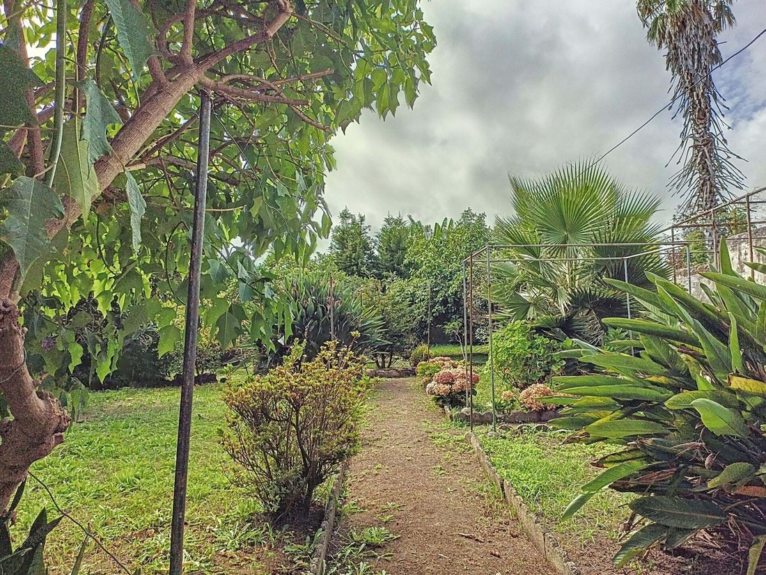 Old Style House With Backyard In The Center In Ponta Delgada, Azores