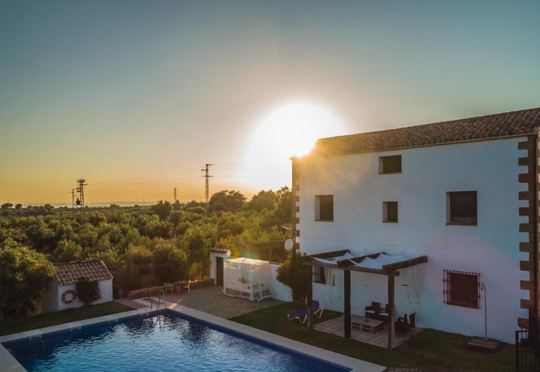 Whispers of Andalusia: An 18th-Century Oil Mill’s Timeless Legacy - 5