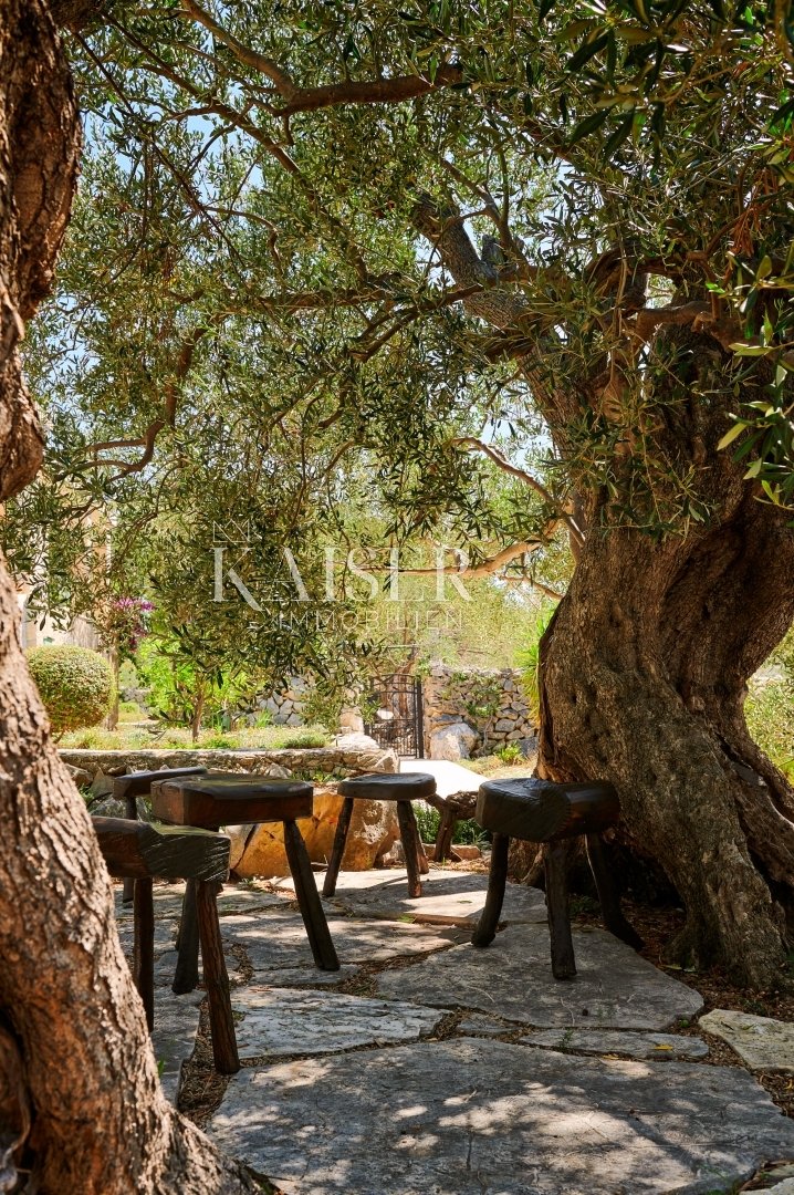 Villa in Zadar, Kroatien 4 - 13451129