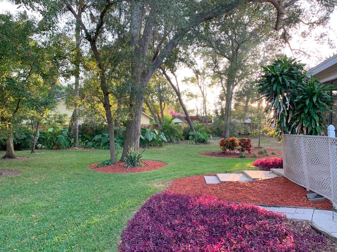 House in Palm Harbor, Florida, United States 5 - 13448586