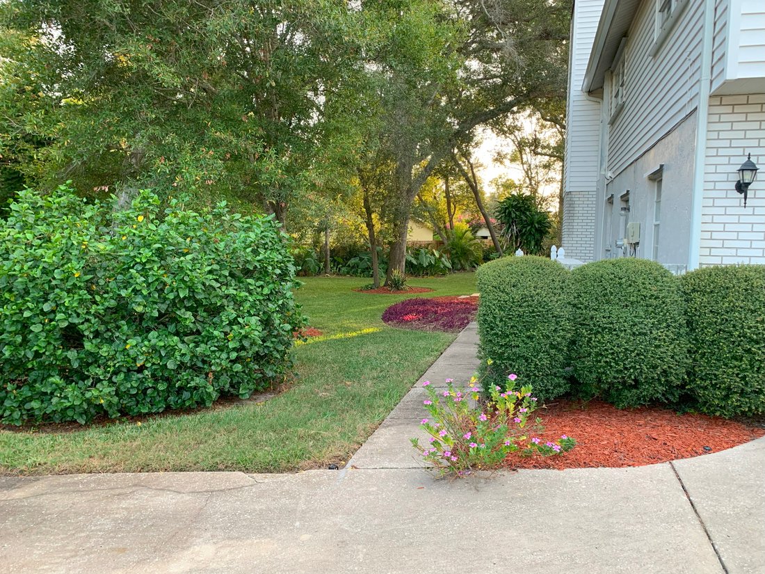 House in Palm Harbor, Florida, United States 4 - 13448586