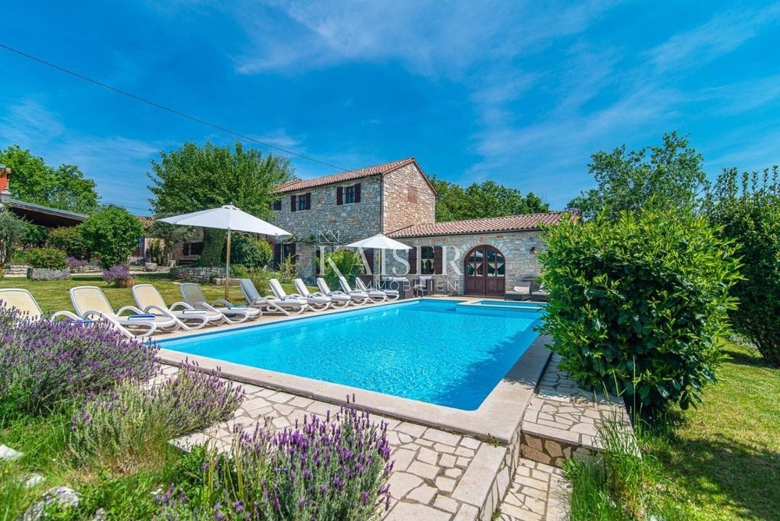 Villa in Zminj, Istria County, Croatia 1 - 13450315