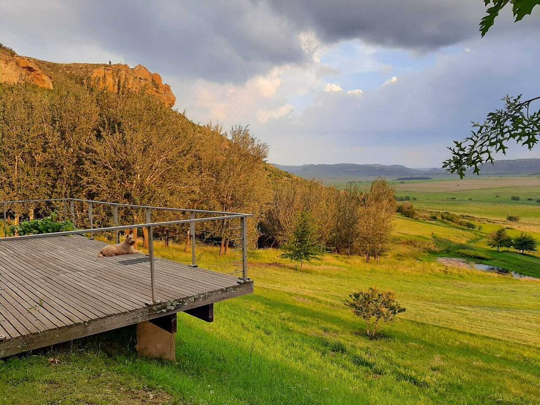 Farm Ranch in Rosendal, Free State, South Africa 3 - 13453419
