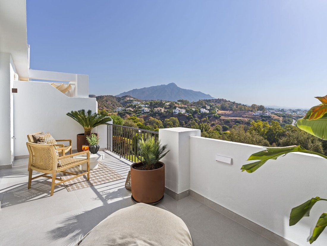 House in Centro, Malaga, Spain 1 - 13453651