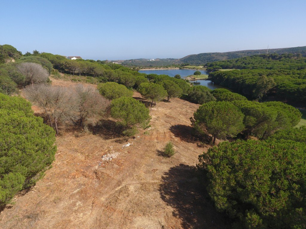 Land in San Roque, Andalusia, Spain 5 - 13456246